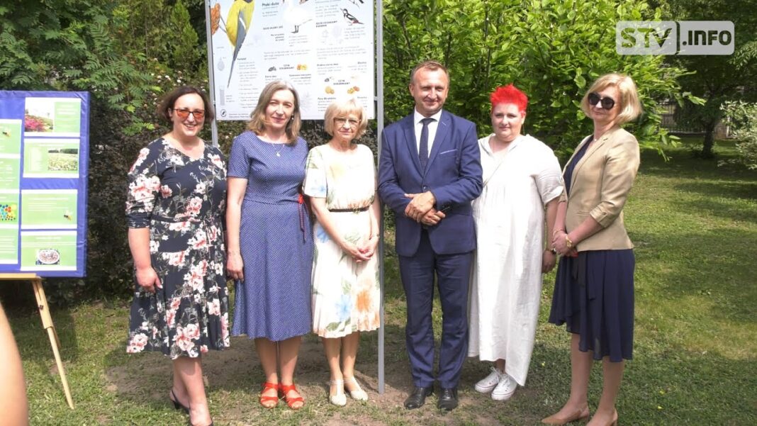 Poidełka dla owadów, schrony dla nietoperzy czy miododajna rabata. Przy I LO powstał wyjątkowy ogród