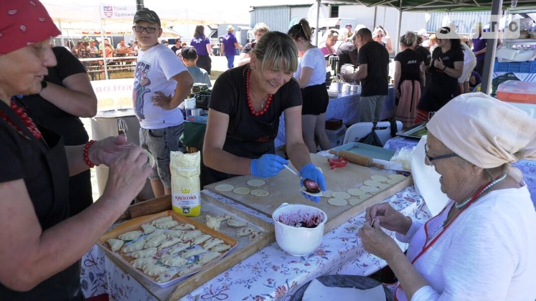 Święto jagody kamczackiej w „jagodowym polu” w Modliborzycach