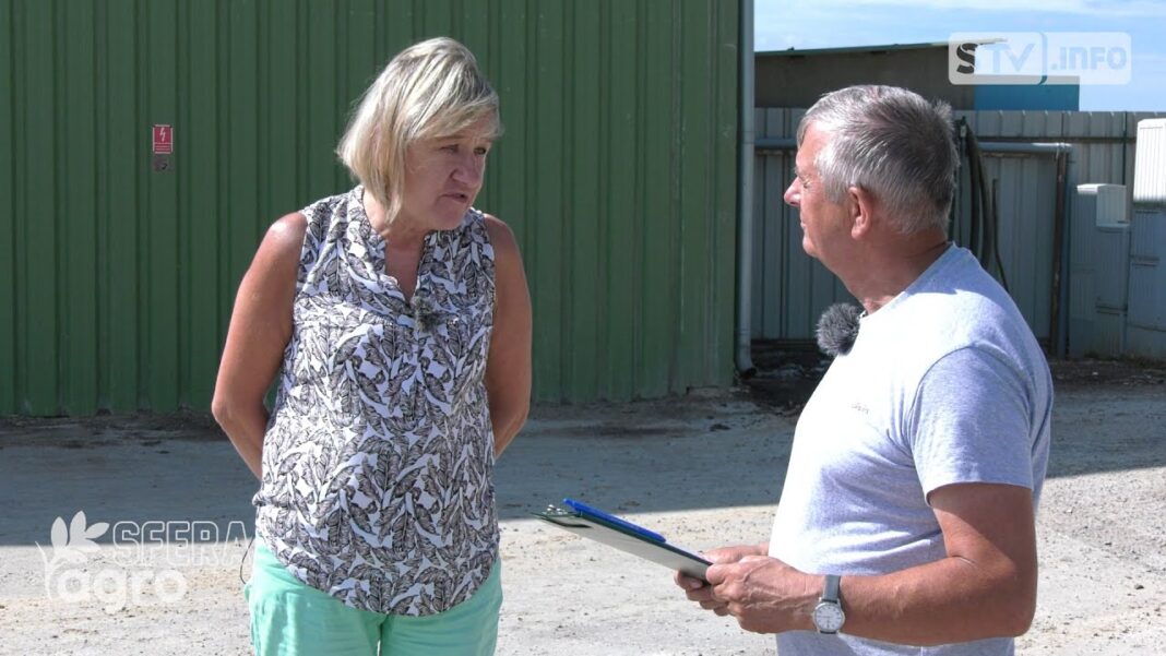 agroSFERA: Żniwa rzepakowe. Co kształtuje cenę za tonę rzepaku w skupie?