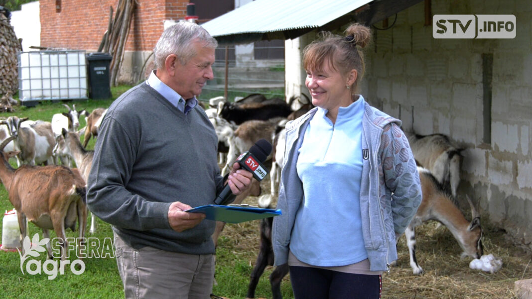 agroSFERA: Hodowla kóz u Natalii w Piotrowicach