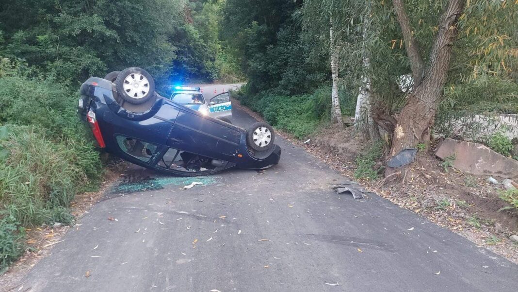 OPATÓW: 56-latek jadąc „na cyku” uderzył w drzewo