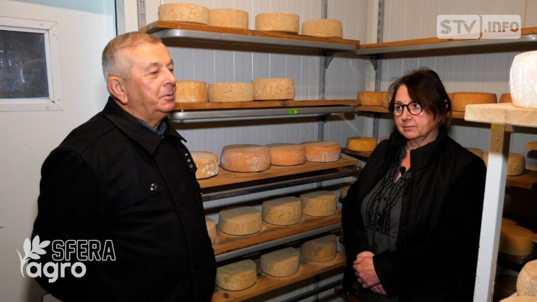 agroSFERA: Sery długodojrzewające. „Serownia Podłazy” Beaty Cichopek