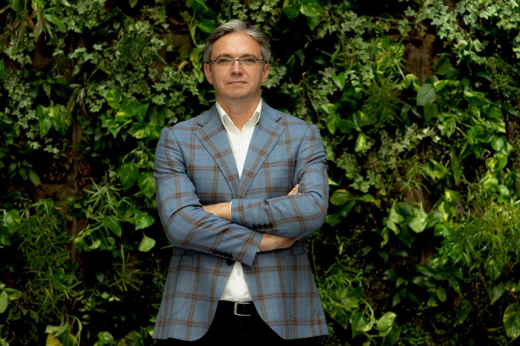 Leśna awantura. Czy Bruksela będzie nadzorować polskie lasy?