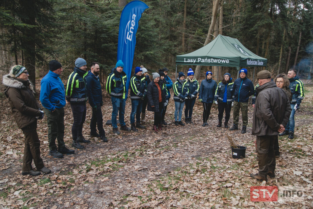 Wolontariusze Enea Elektrownia Połaniec to tytani pracy. Energetycy posadzili hektar lasu