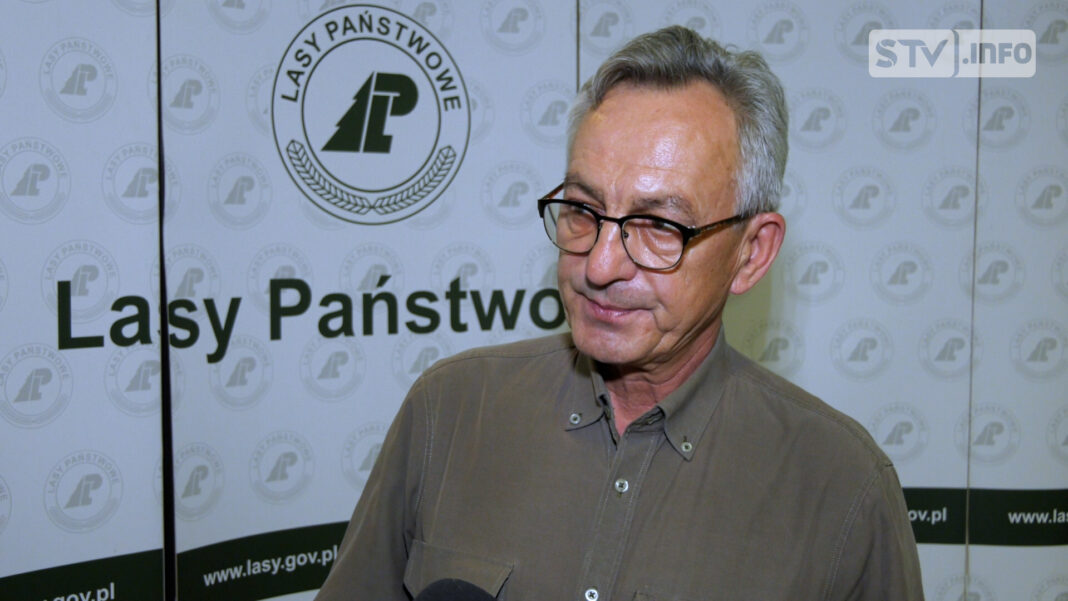 Zakaz wstępu do lasów wokół Staszowa. Trwa akcja ograniczająca populację chrabąszcza