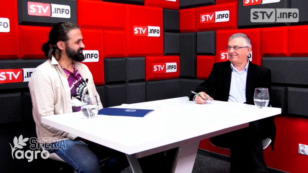 agroSFERA: Renesans pszenicy „Sandomierki”. Grzegorz Świtalski o próbach przywrócenia uprawy