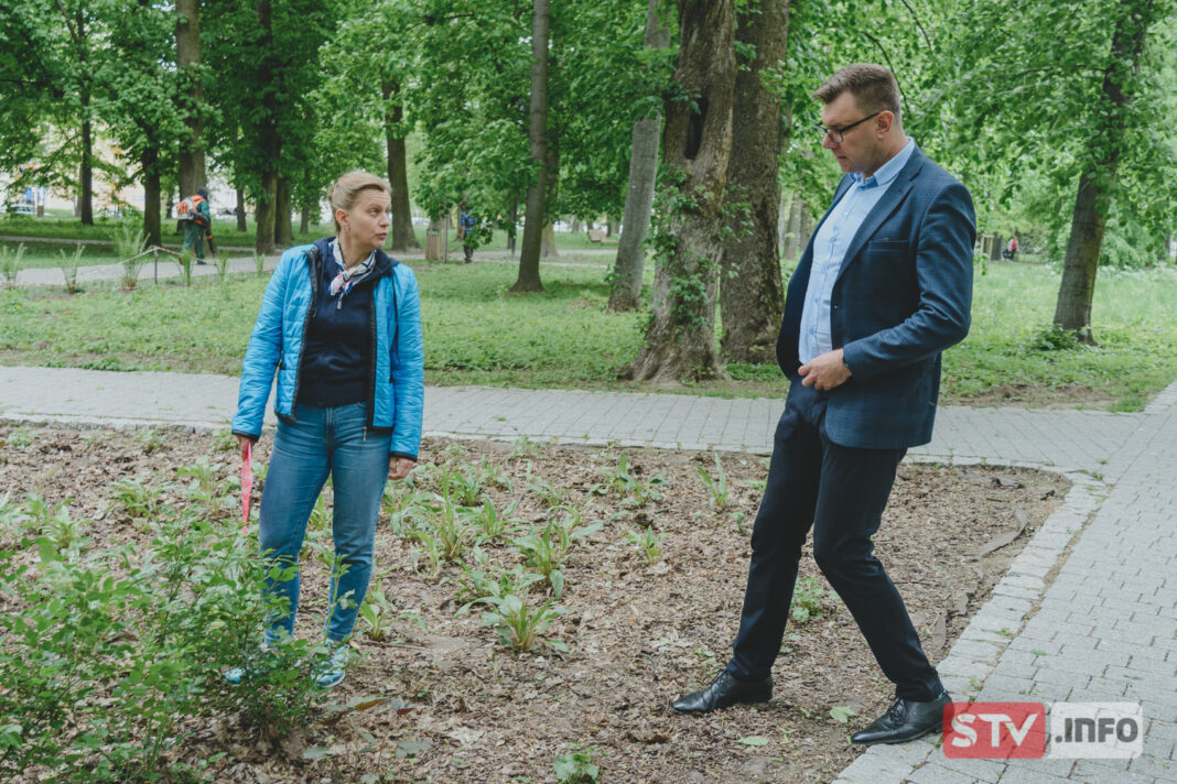 Nie będzie częstego koszenia trawy w Ogrodzie Saskim. Nowy pomysł urzędników z Sandomierza