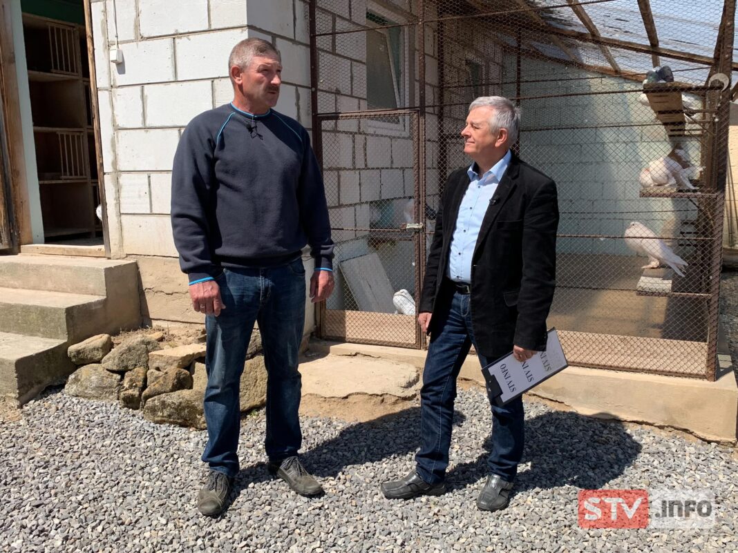 agroSFERA: Hodowla gołębi ozdobnych u Szymona Żyły w Pielaszowie