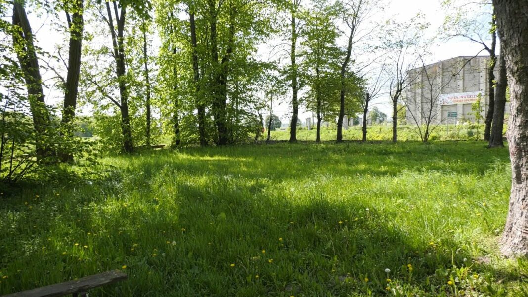 Będzie rewitalizacja parku we Włostowie. Powstaną ścieżki edukacyjne i miasteczko ruchu drogowego