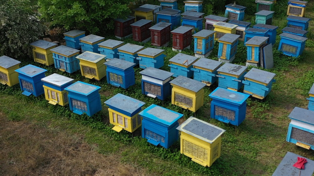 agroSFERA: Pasieka wiosną