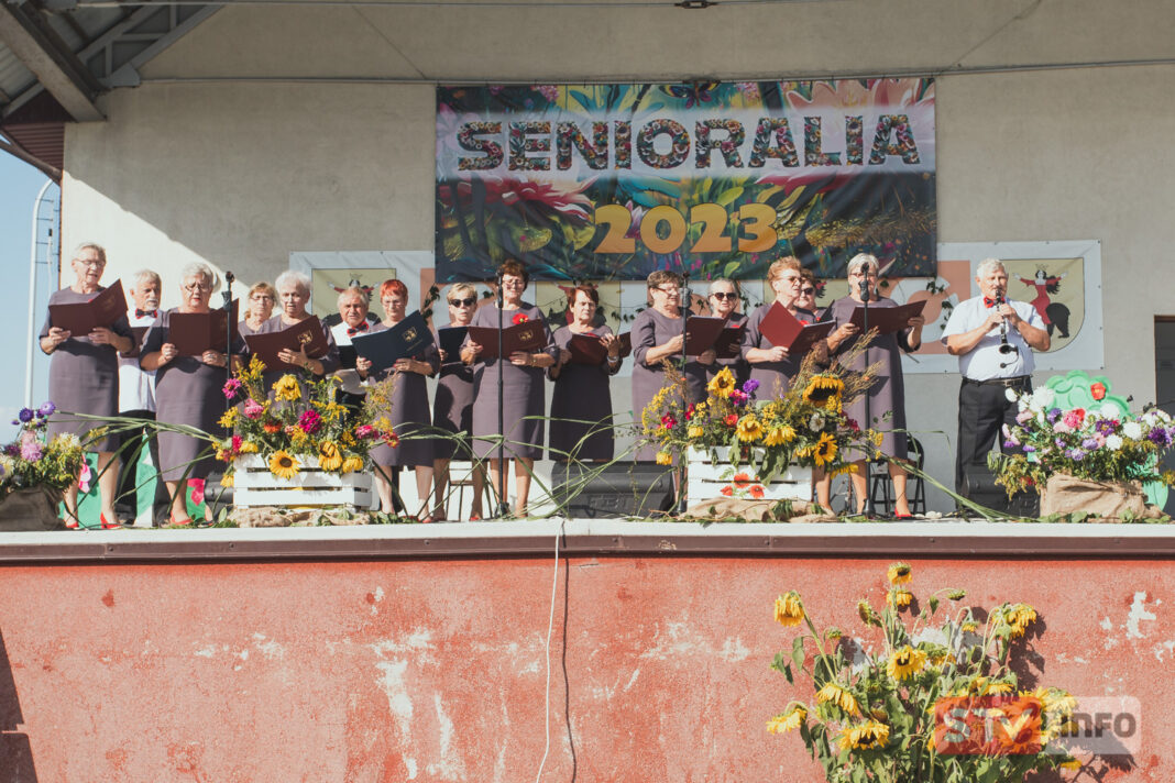 Fantastyczny piknik. Seniorzy bawili się w Ożarowie