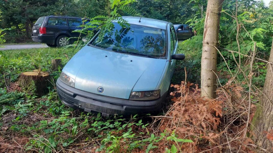 Zaparkował w lesie w Kamiennej Górze. Jutro przesłucha go policja