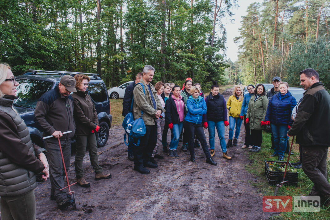 Urzędnicy z leśnikami sadzili las. Ekologiczna akcja w leśnictwie Szczeka