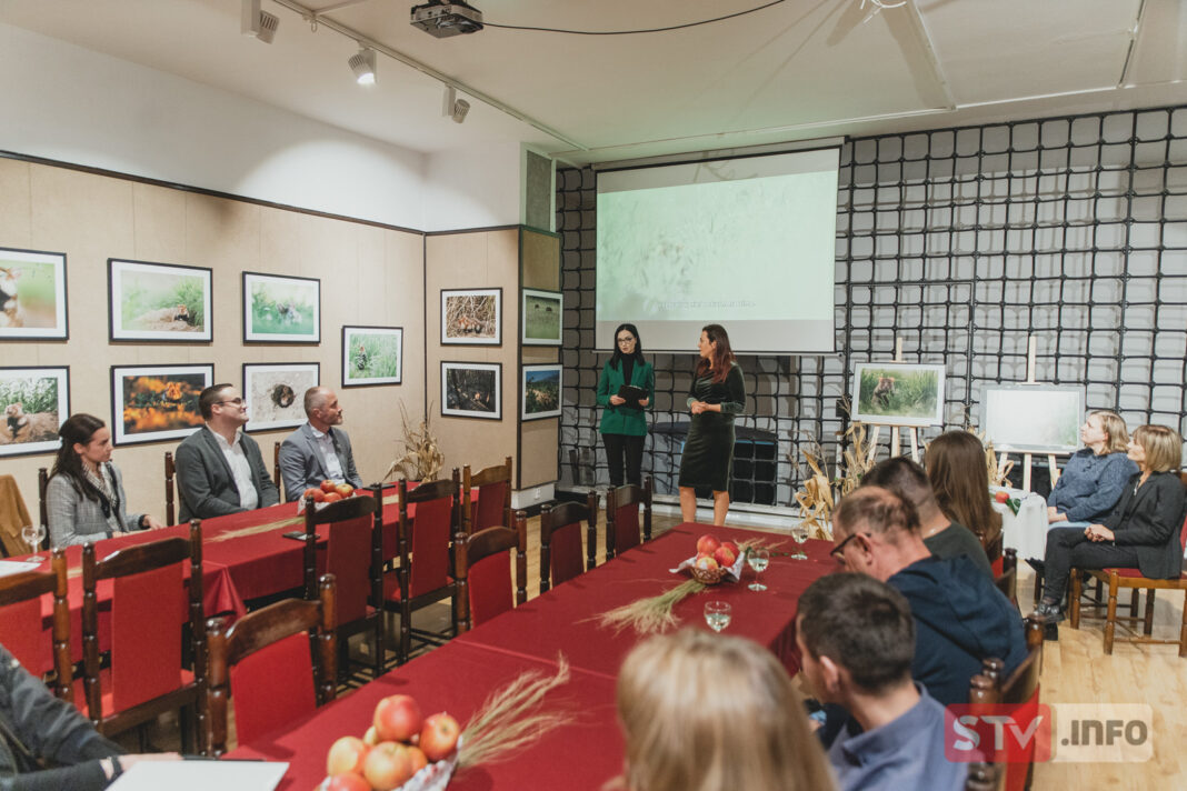 Wystawa o chomiku europejskim w muzeum w Sandomierzu. „To zwierzę sprzyjające przyrodzie i rolnikom”