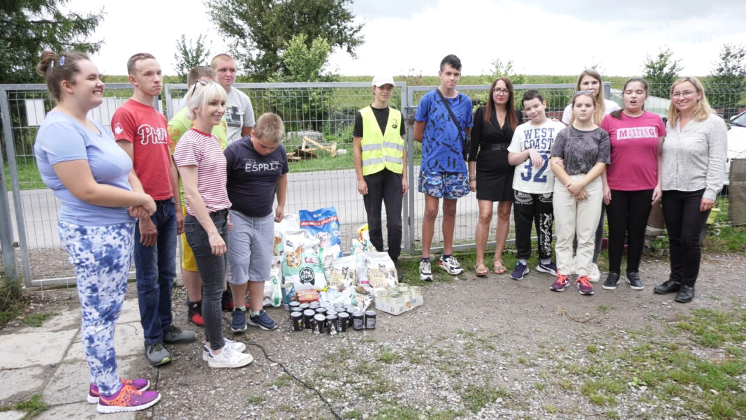 Uczestnicy projektu Caritas zorganizowali pomoc dla zwierząt w sandomierskim schronisku