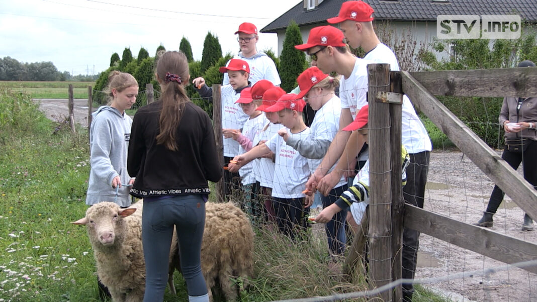 Zooterapia pomaga zwiększyć ich samodzielność. Zajęcia z końmi dają olbrzymie efekty