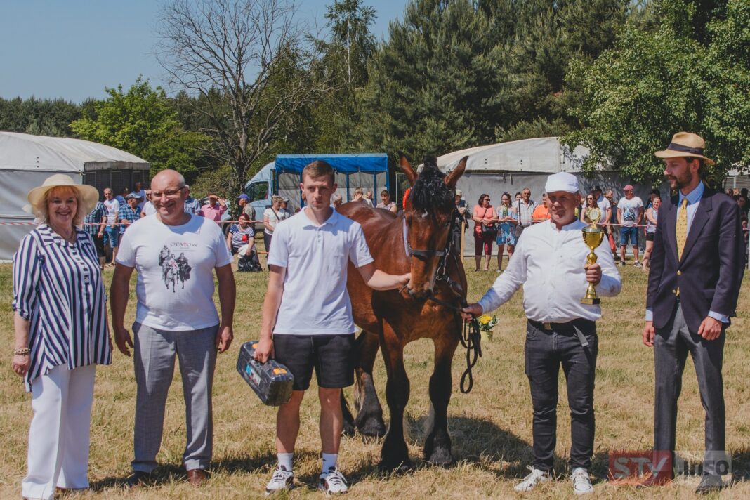 Hodowcy ze świętokrzyskiego prezentowali swoje konie. Tłumy w Ożarowie