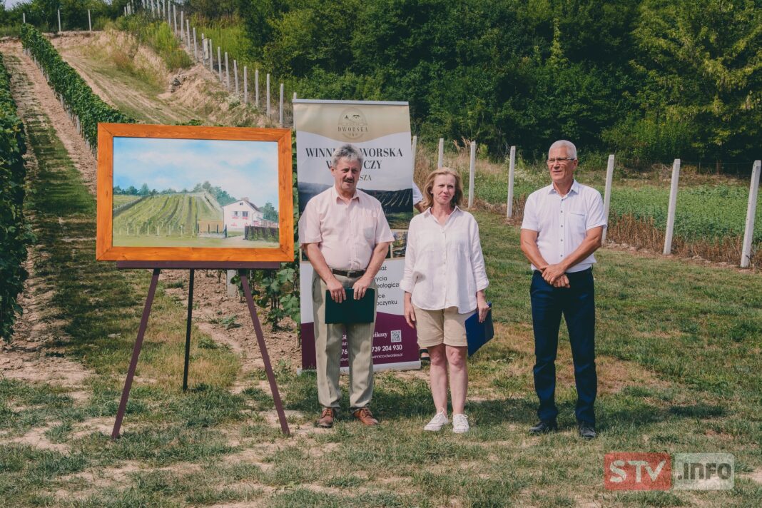 Wyjątkowy spacer po Dworskiej Winnicy w Słupczy. Przy winie o historii