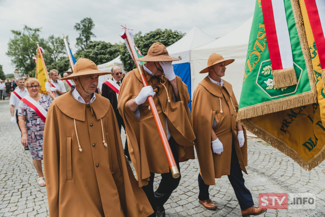 Pszczelarze świętowali w Sandomierzu. III Powiatowe Święto Miodu