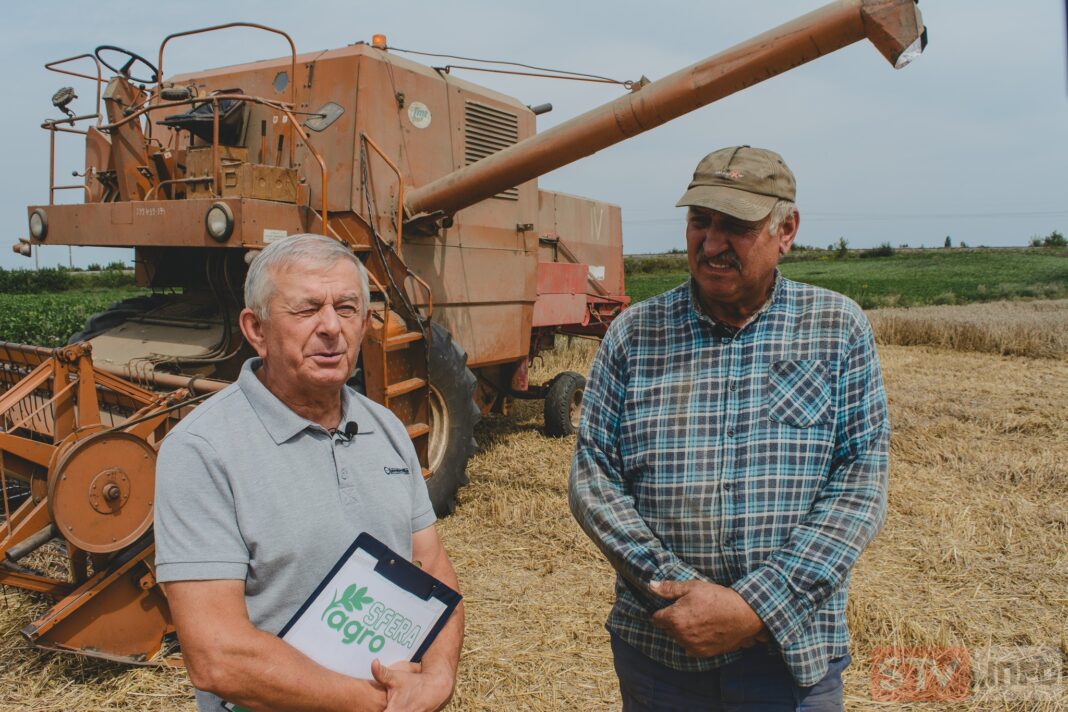 agroSFERA: Żniwa okiem producenta. Jak wygląda tegoroczny zbiór zbóż?