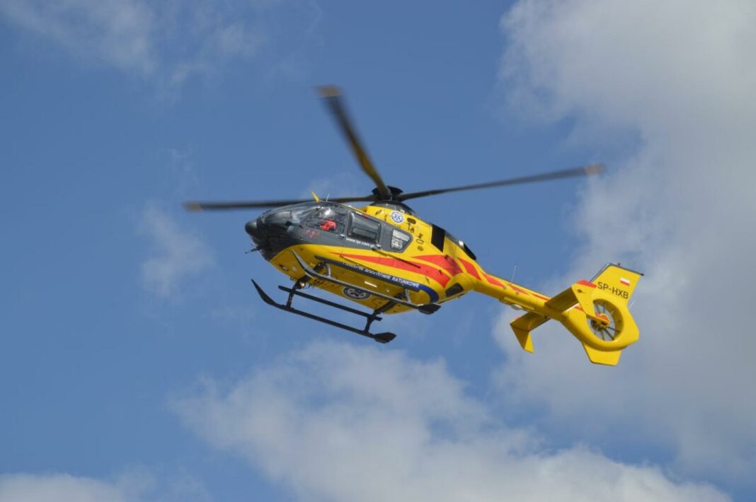 Audi wjechało w drzewo w Gołoszycach. Nie żyje kierowca