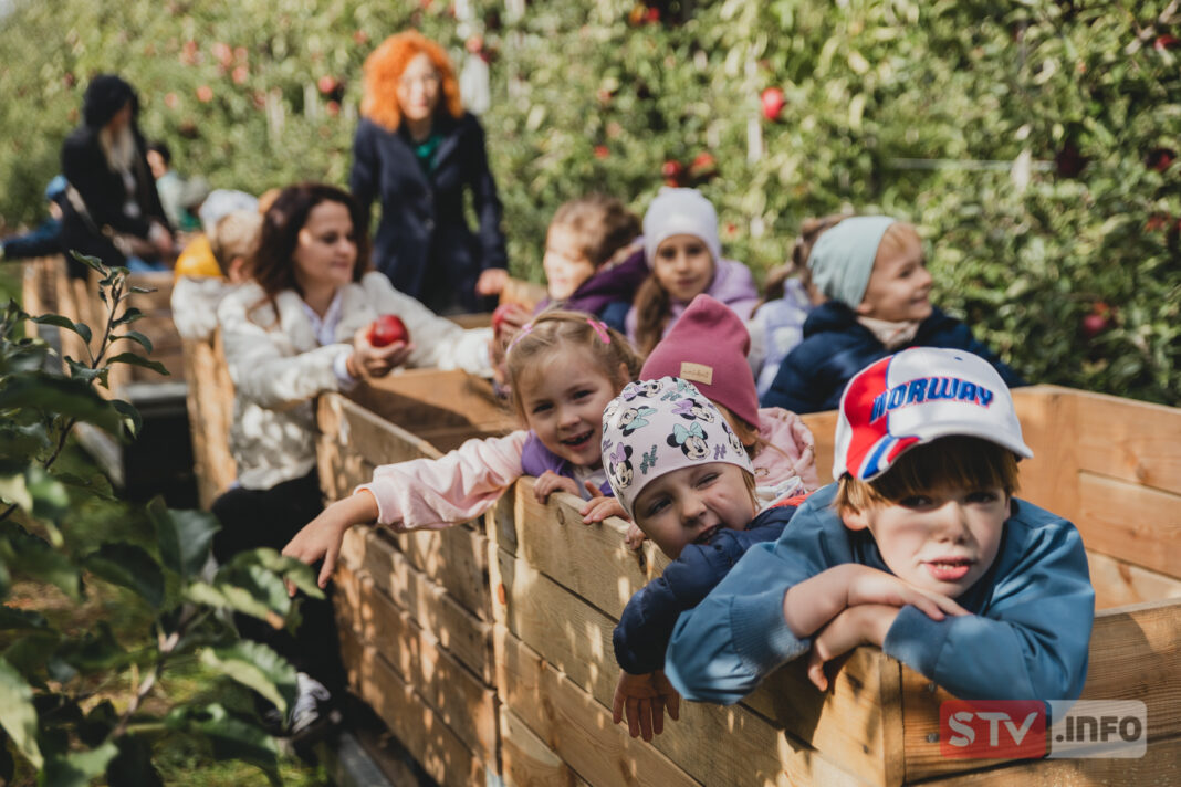 Dni Jabłka w sandomierskim przedszkolu. Dwa dni pełne radości i niespodzianek.