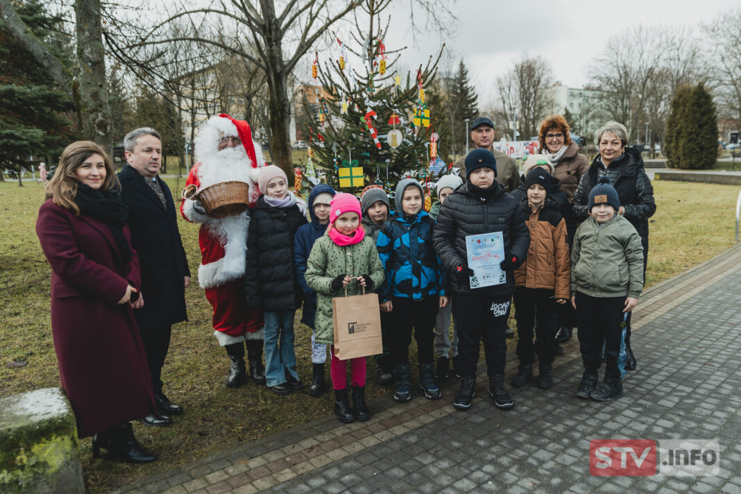 Choinki w staszowskim parku Bienia wypiękniały. Burmistrz dekorował drzewka razem z maluchami