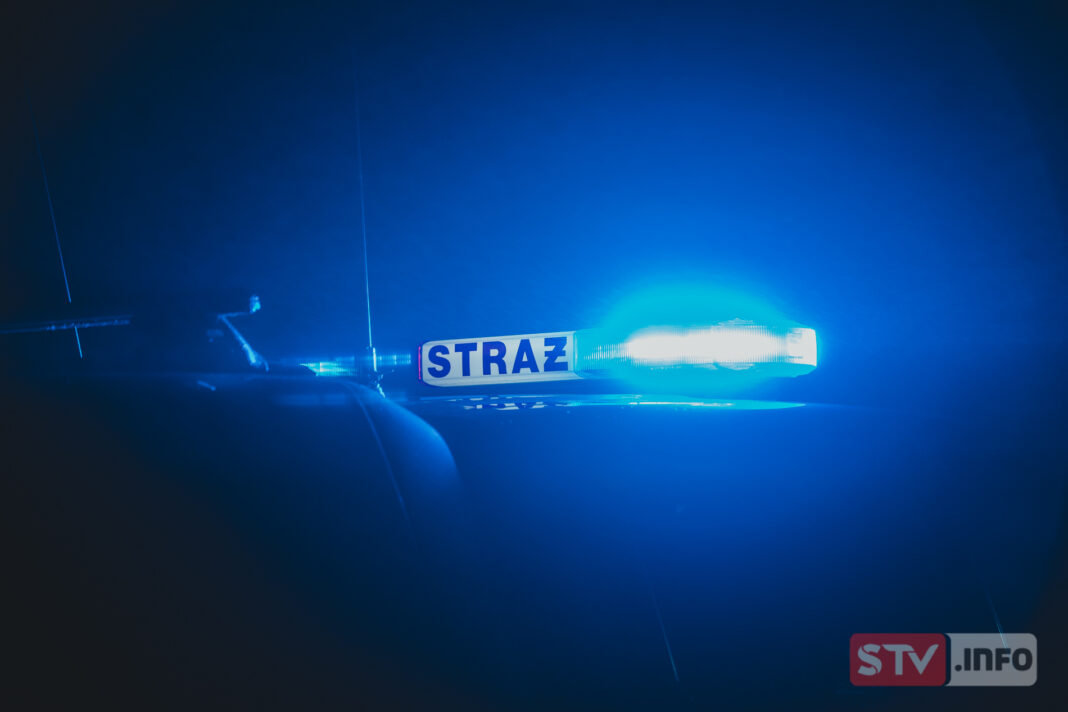 43. wyjazdy świętokrzyskich strażaków w Sylwestra: pożary, spłoszony pies, kolizje