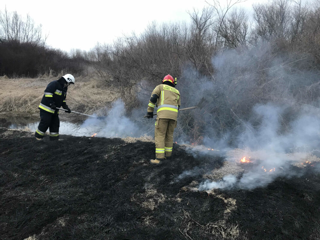 Tylko w weekend aż 121 pożarów traw. Niechlubny proceder trwa, a strażacy walczą z żywiołem