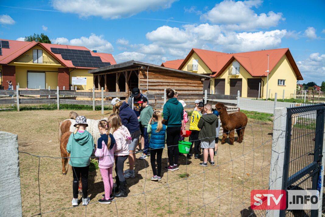 Warsztaty w sandomierskim „Zwierzęcym Zakątku”. Odpoczynek, zabawa i terapia dla dzieci