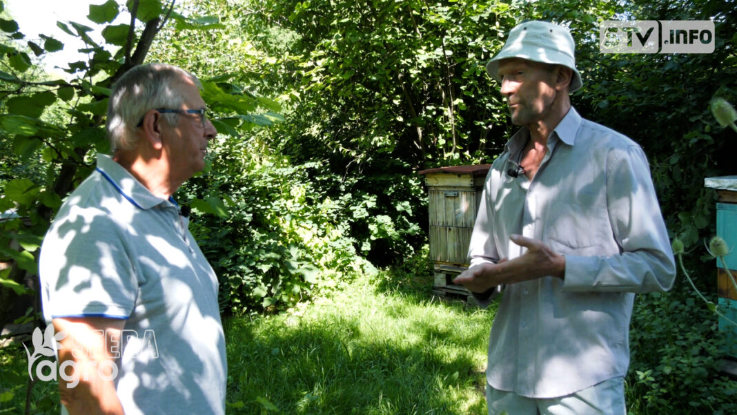 agroSFERA: Letnia praca pszczół w dolinie Opatówki. pasja ponad zyskiem