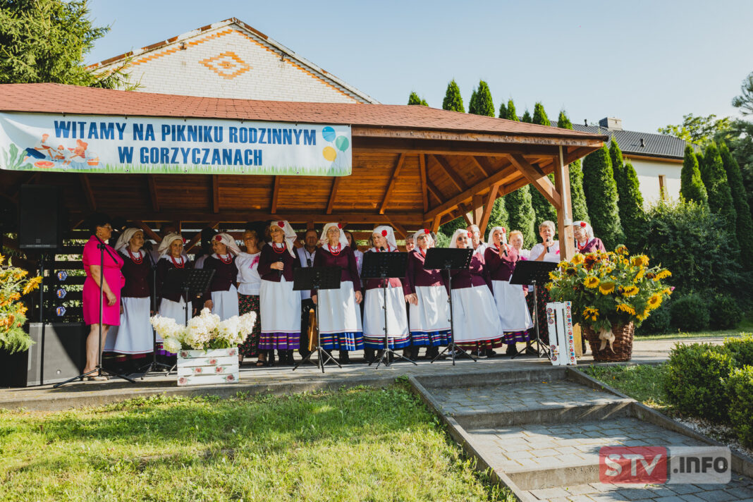 Piknik rodzinny w Gorzyczanach. Ludowy zespół promował najnowszą płytę