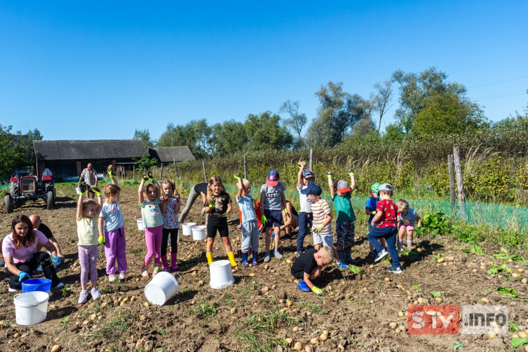 Wyprawa przedszkolaków z „Jasia i Małgosi”. Wykopki też mogą być super