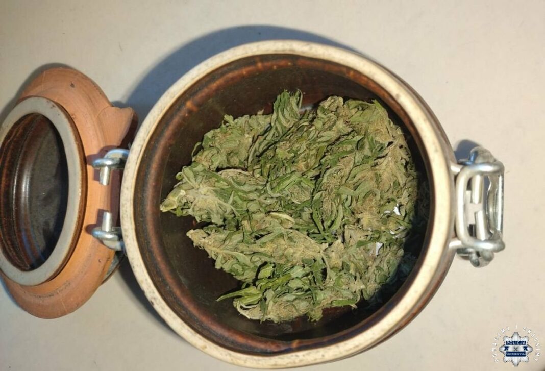 Oleśnica: Jechał bez pasów, a odpowie za posiadanie narkotyków