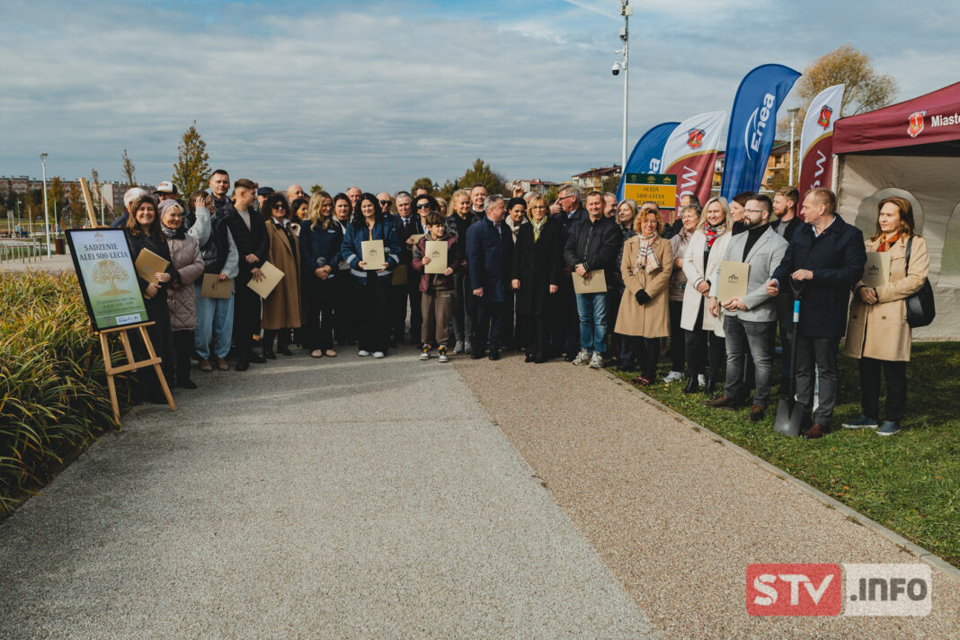 Aleja 500-lecia w Staszowie. Mieszkańcy sadzą drzewa dla przyszłych pokoleń