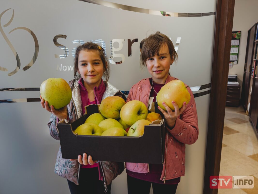 agroSFERA: Gigantyczne jabłko z Głazowa robi wrażenie