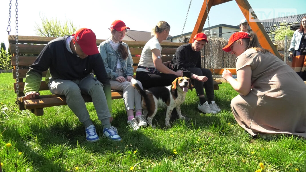 Przez zooterapie do samodzielności osób z niepełnosprawnością