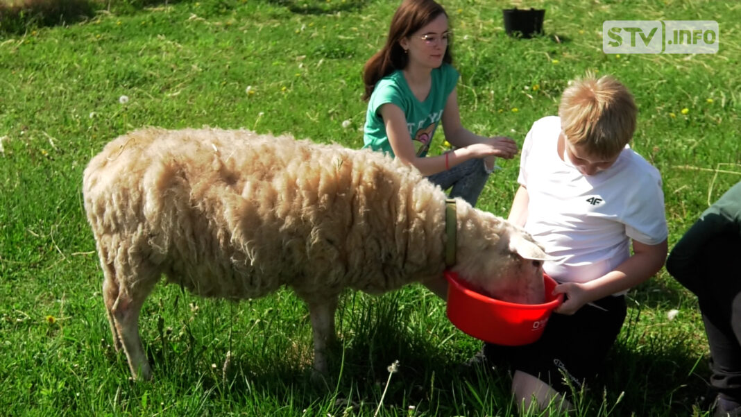 Zwierzęta mają im pomóc w dążeniu do samodzielności