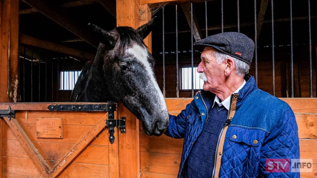 agroSFERA: Wrodzona pasja końska. Stajnia TRZYKOSY i ludzie dla których konie to coś więcej
