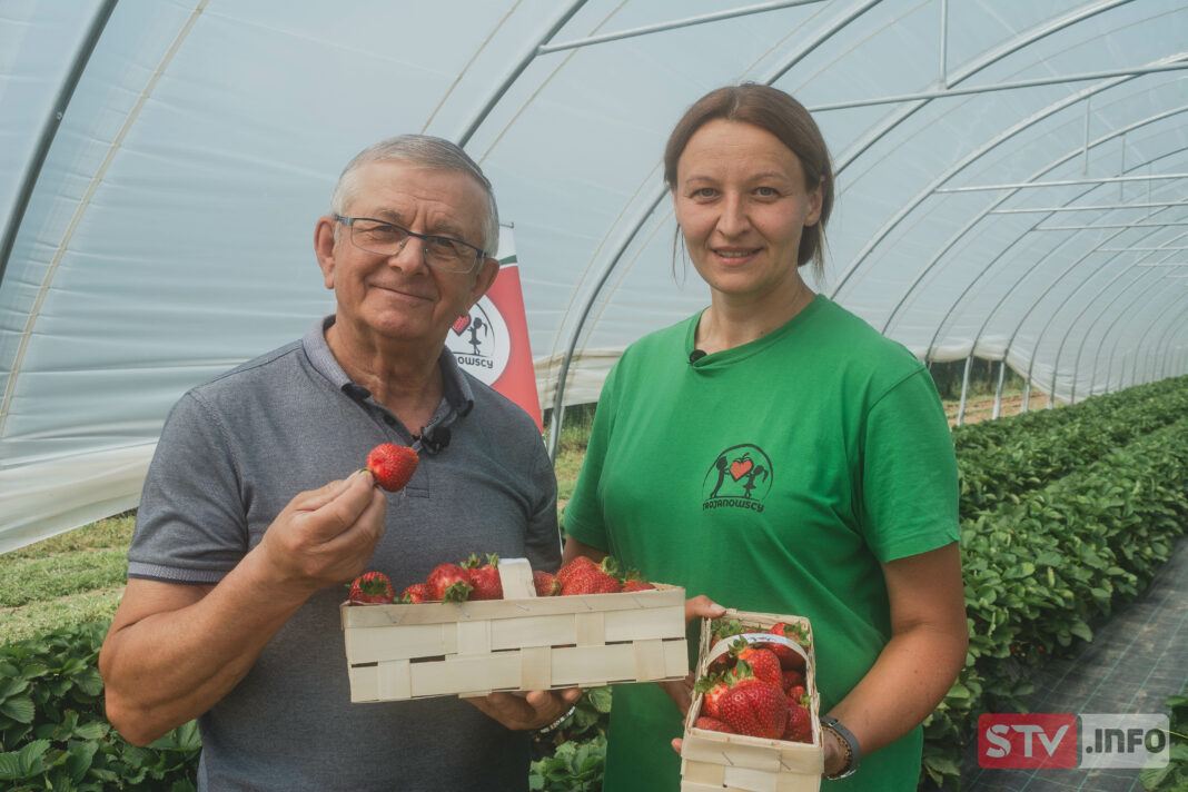 agroSFERA: Truskawka na każdą porę roku agroSFERA: Truskawka na każdą porę roku