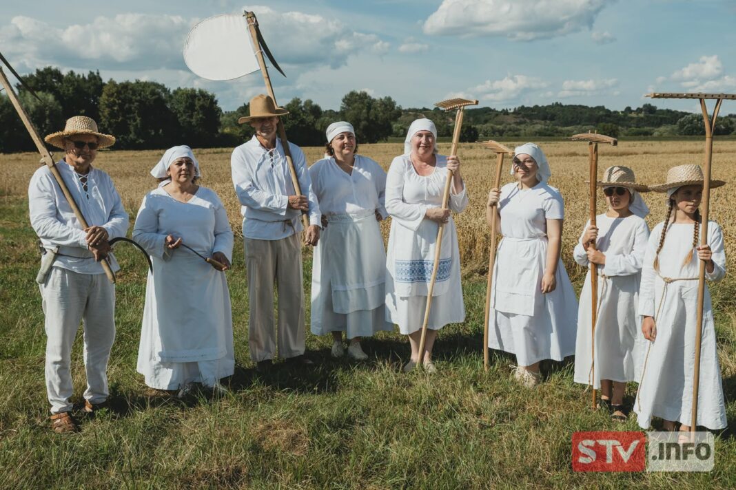 Żniwa jak za dawnych lat. Żywa lekcja historii i tradycji w sandomierskim Nadbrzeziu Żniwa jak za dawnych lat. Żywa lekcja historii i tradycji w sandomierskim Nadbrzeziu